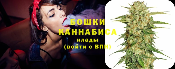 ПСИЛОЦИБИНОВЫЕ ГРИБЫ Елизово