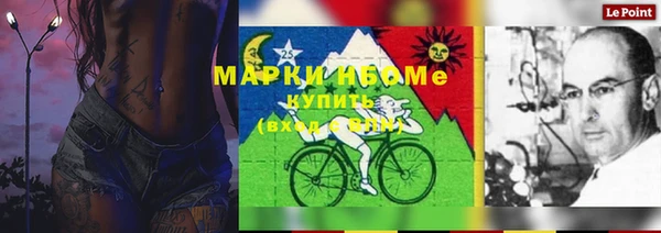 ПСИЛОЦИБИНОВЫЕ ГРИБЫ Елабуга