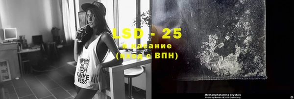 ПСИЛОЦИБИНОВЫЕ ГРИБЫ Елабуга