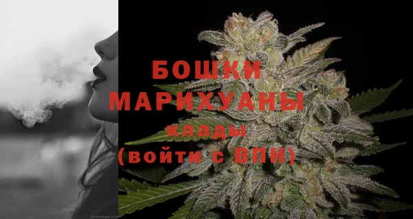 ПСИЛОЦИБИНОВЫЕ ГРИБЫ Елабуга