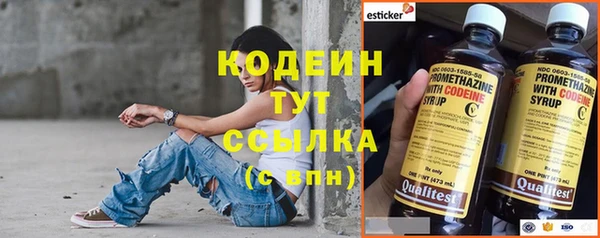 ПСИЛОЦИБИНОВЫЕ ГРИБЫ Елабуга