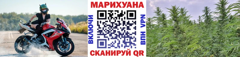 Марихуана тримм  купить закладку  Каменногорск 